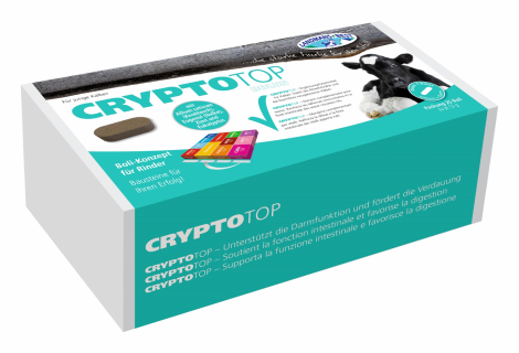 CRYPTOTOP